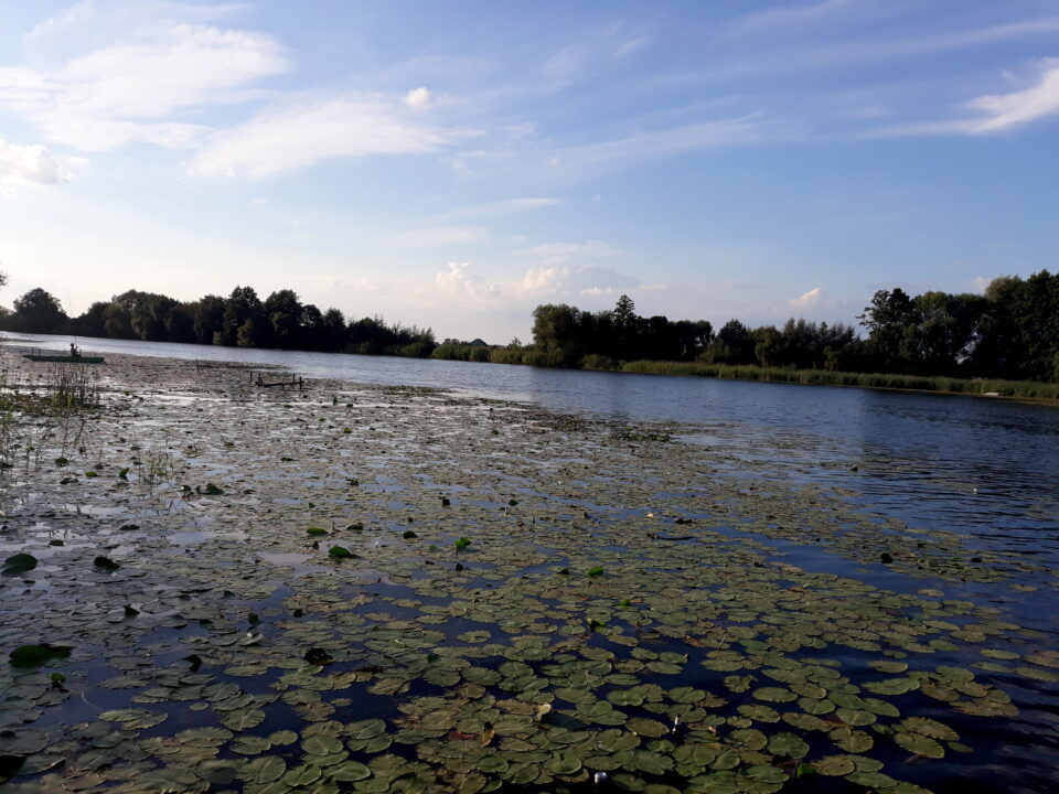 Matka Boża Hodogetria – Kazańska Ikona Matki Bożej