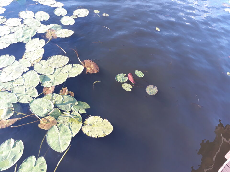 Matka Boża Hodogetria – Kazańska Ikona Matki Bożej
